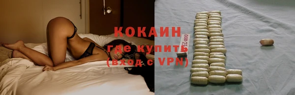 mdpv Богородицк