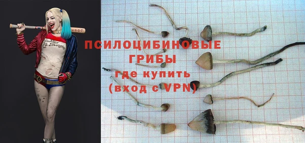 ешки Богданович