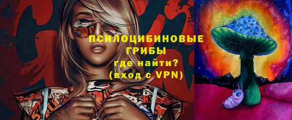 a pvp Богородск