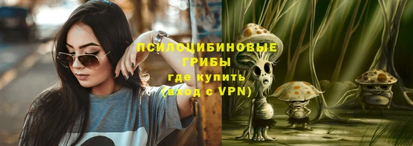 ешки Богданович