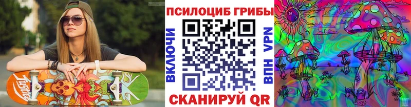 как найти закладки  Ковдор  Псилоцибиновые грибы MAGIC MUSHROOMS 